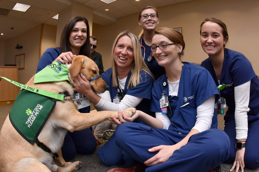 pettherapy049 1200x800 1