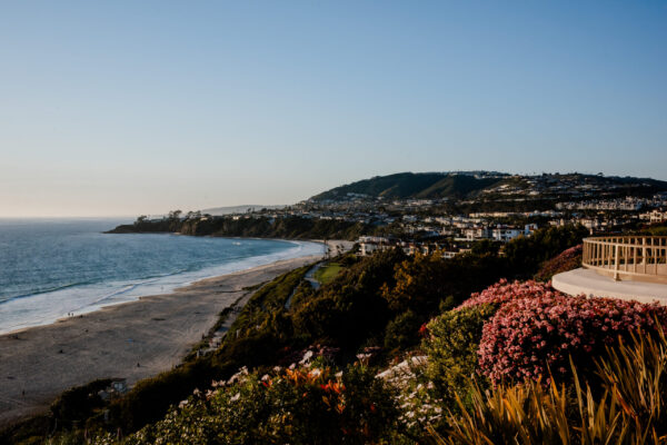 hesummit2024wildecompany040220243116